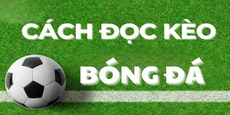 Cách đọc và hiểu tỷ lệ từ dữ liệu Nowgoal