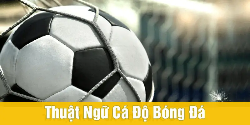 Nhóm thuật ngữ cá độ bóng đá phổ biến